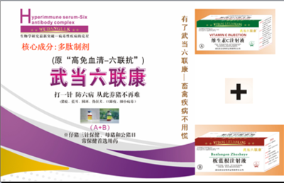 从武当六联康看湖北畜牧业健康保障新趋势